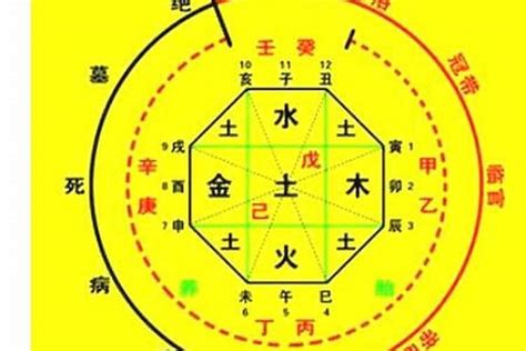 出生時辰八字|生辰八字算命、五行喜用神查詢（免費測算）